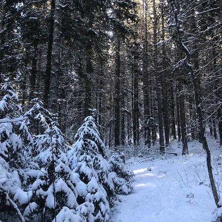 Kungsbergetnatur Jarbo Exterior foto