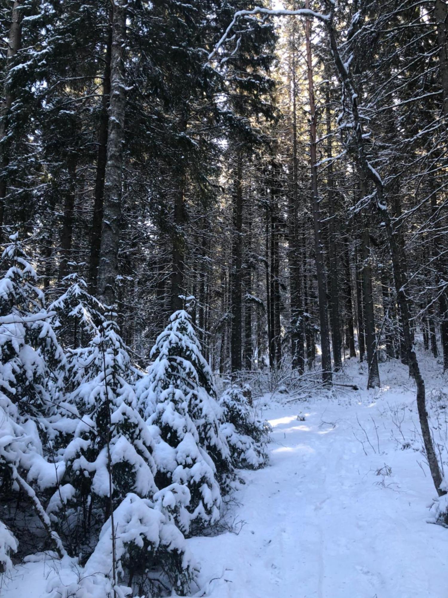 Kungsbergetnatur Jarbo Exterior foto